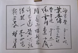 䲾04