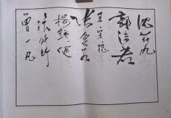 䲾05