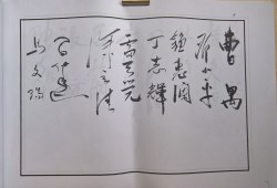 䲾06