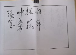 䲾14