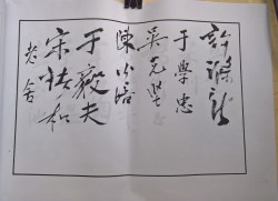 䲾16