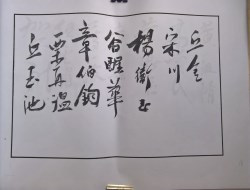 䲾17