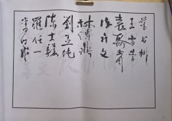 䲾20