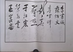 䲾28
