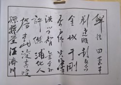 䲾29