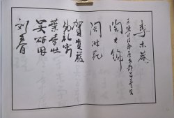 䲾31
