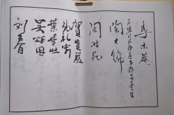 䲾32