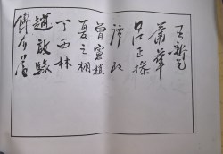 䲾38