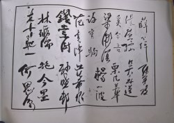 䲾41