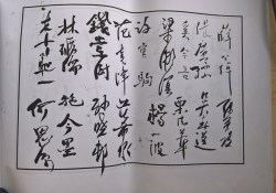 䲾40