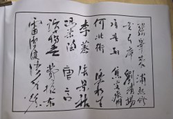 䲾44
