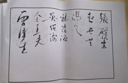 䲾45