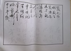 䲾47